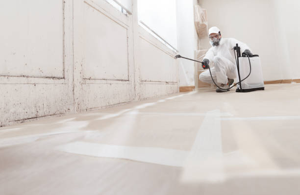 24/7 Emergency Basement Mold Remediation experts in Halifax, VA