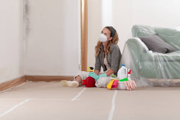 Reliable Basement Mold Remediation contractor in Halifax, VA by 24 Hour Mold Removal